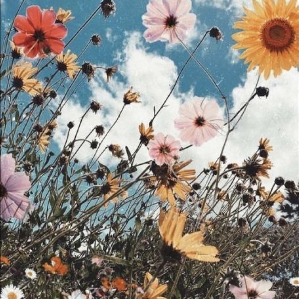 Meet your Posher, Addy